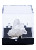 Arkansas Quartz Crystal Perky Box Display (Assorted)